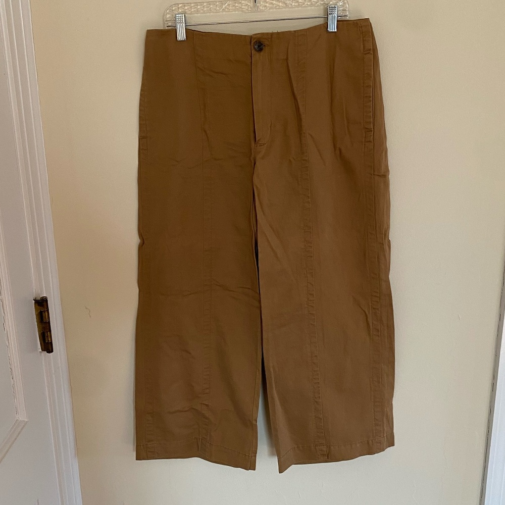 Brown LOFT Pants